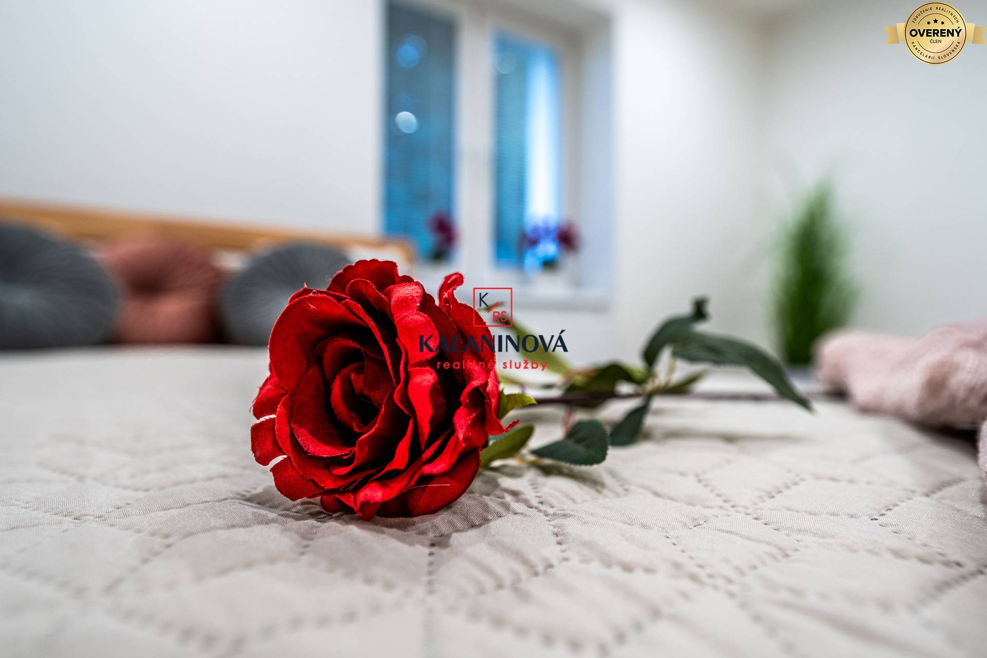 Rent One bedroom apartment, One bedroom apartment, Milosrdenstva, Koši